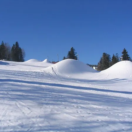 Osrodek Wypoczynkowy Henryk 2 克雷尼察